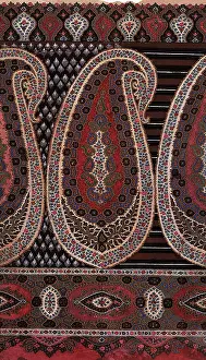 Motif: Large Paisley Motif
