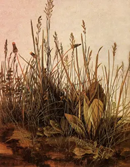 Turf: The Large Piece of Turf
