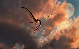 Pterosaur: A large Quetzalcoatlus flying in the cloudy sky
