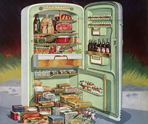 Stuffed: Large Refrigerator stuffed with Food
