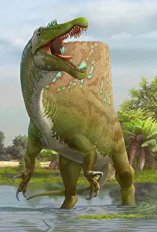 Loud: A large Spinosaurus lets out a loud roar to claim