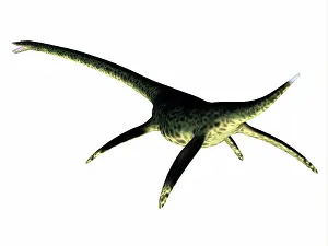 Plesiosaur: Large Styxosaurus prehistoric reptile