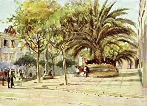 Amelia: Largo Da Rainha D Amelia - Cintra