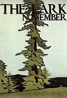 Lark: The Lark, November