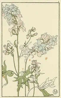Pochoir: Larkspur