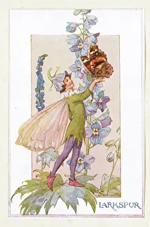 Larkspur Fairy