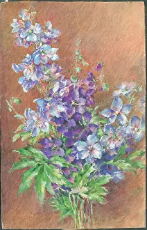 Pressland: Larkspurs'? Flowers