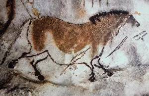 Dordogne: Lascaux cave painting