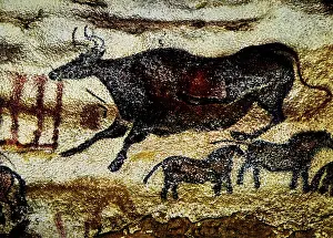 Lascaux: Lascaux Cave Painting