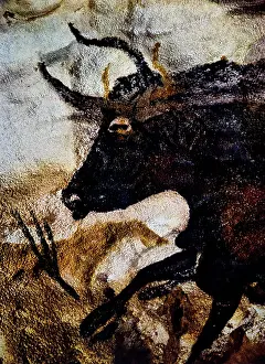 Lascaux: Lascaux Cave Painting
