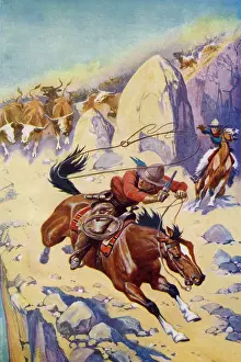 Hoofs: Lassoing a cattle thief