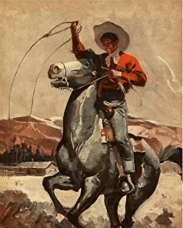 Lasso: Lassoing Cowboy
