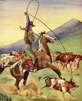 Lassoing Cowboy