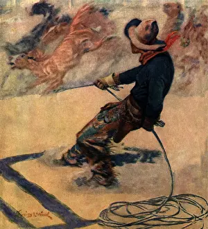 Lasso: Lassoing Wild Horses