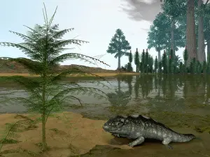 Crawling: A Late Devonian Ichthyostega emerges from waters of a ?