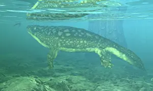 Famennian: A Late Devonian Period Ichthyostega submerged in a ?