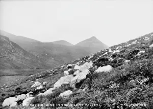 Mournes: Lateral Moraine in the Silent Valley
