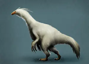 Therizinosaur: Lateral view of a Therizinosaurus