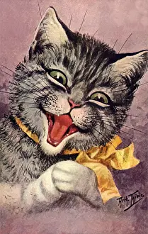 Loud: Laughing Cat