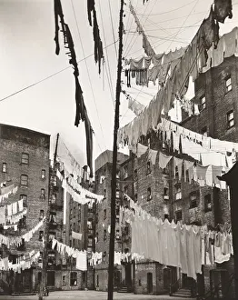Berenice: laundry - cityscape - clothe lines - NYC
