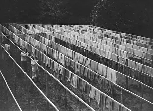 Cleanliness: Laundry on the Western Front, 1915