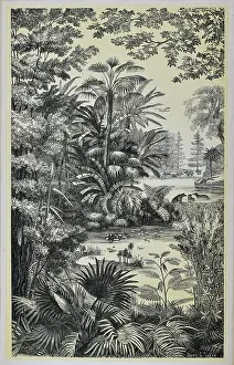 Buri: Lausanne during the Miocene Period