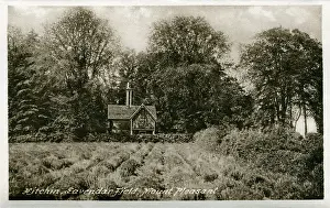 Pleasant: Lavender Field & Cottage, Mount Pleasant, Hertfordshire