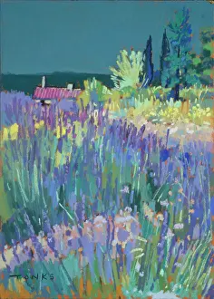 Roofed: Lavender ' Fields with purple roofed house