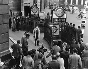 Lavender: THE LAVENDER HILL MOB