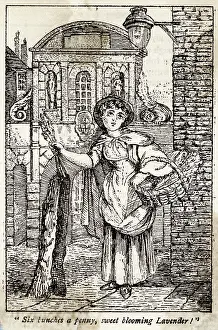 Bloomin: LAVENDER SELLER