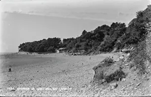 Vale: Laverock at St. Mary's Well Bay