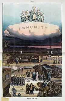Immunity: Above the law