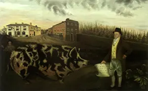 Proudly: Lawson's Prize Pig