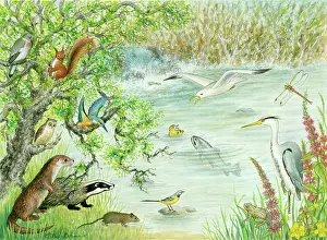 Lazy: The Lazy Duckling - with animals and birds