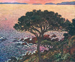 Mimosas: Le Cap Benat