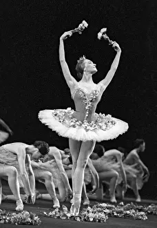 Adolphe: Le Corsaire Ballet, 1994