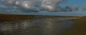 Baie: Le Crotoy beach