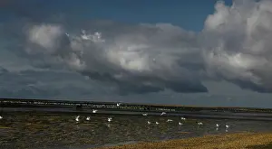 Baie: Le Crotoy beach