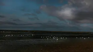 Baie: Le Crotoy beach