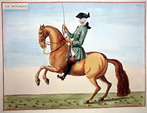 Horseriding: Le Monarque