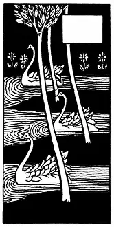 Morte: Le Morte d'Arthur