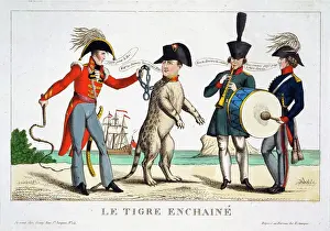 Tigre: Le tigre enchaine