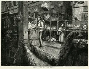 Cages: Leadenhall Market 1876