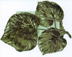 Reversible: Leaf-shaped reversible Christmas card