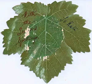 Reversible: Leaf-shaped reversible Christmas card