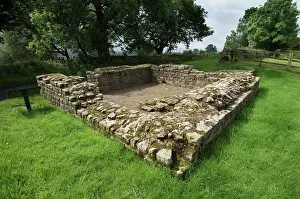 Birdoswald: Leahill Turret