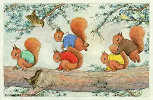 Wrens: Leap Frog ? squirrels playing leap frog