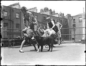 Leapfrog: Leapfrog on the Roof