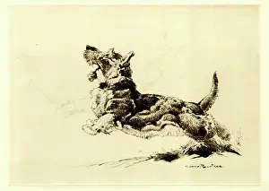 Rountree: Leaping Dog, by Harry Rountree