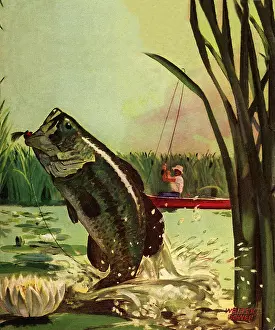 Reel: Leaping Fish is Snagged